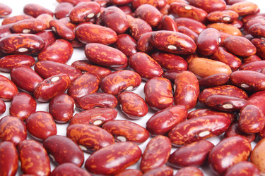 Similar image 167773