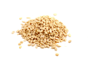 Similar image 167796