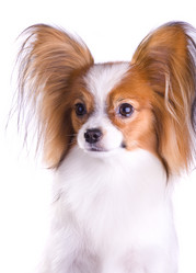 Similar image 167848