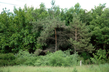 Similar image 167865