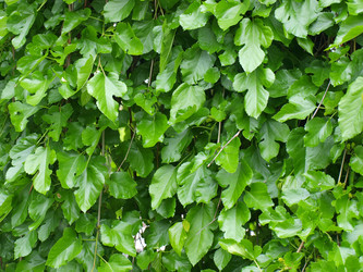 Similar image 167878