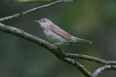 Similar image 167880