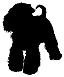 Similar image 167937