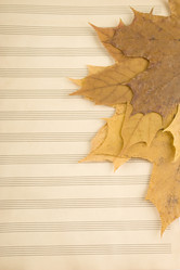 Similar image 167978