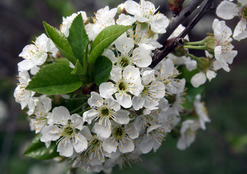 Similar image 168049