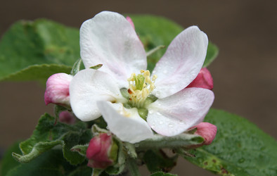 Similar image 168050