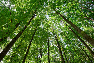 Similar image 168057