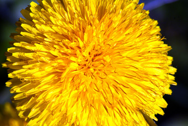 Similar image 168058