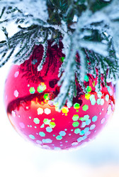 Similar image 168061