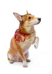 Similar image 168082