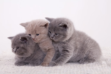 Similar image 168086