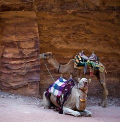 Similar image 168089