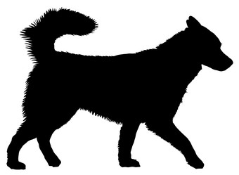 Similar image 168132