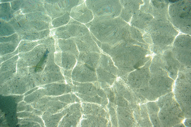 Similar image 168136