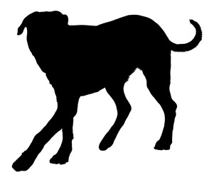 Similar image 168137