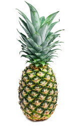 Similar image 168185