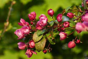 Similar image 168204