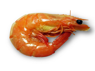 Similar image 168216