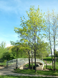 Similar image 168240