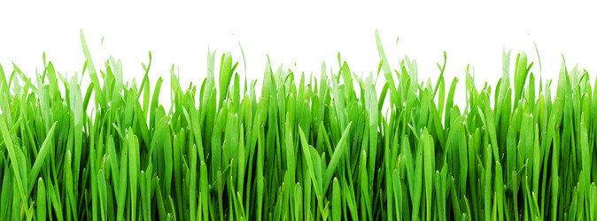 Similar image 168274