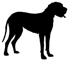 Similar image 168278