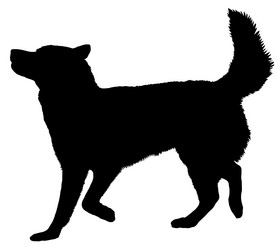 Similar image 168285