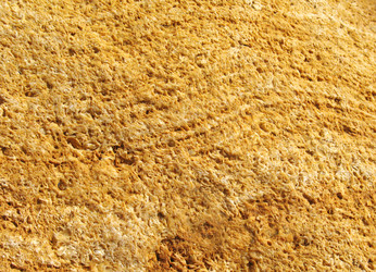 Similar image 168313