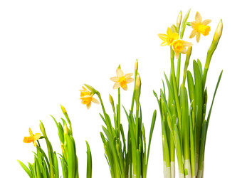 Similar image 168347