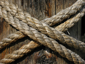 Similar image 168349