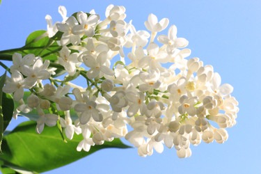 Similar image 168353