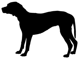 Similar image 168361