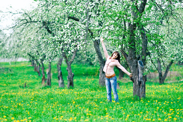 Similar image 168369