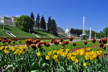 Similar image 168455