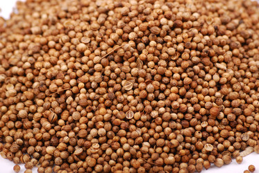 Similar image 168456