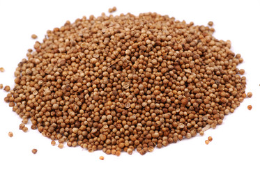 Similar image 168457