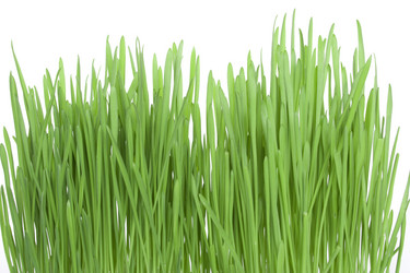 Similar image 168488