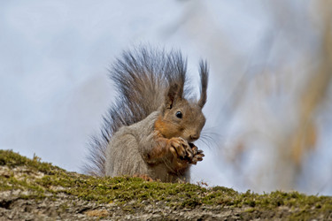 Similar image 168514