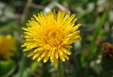 Similar image 168525