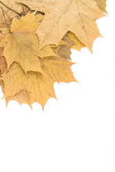 Similar image 168560