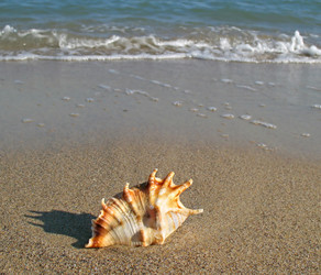 Similar image 168562