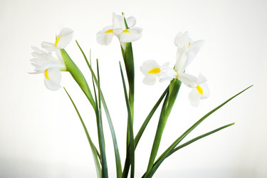 Similar image 168571