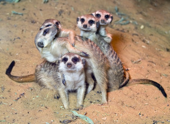 Similar image 168610