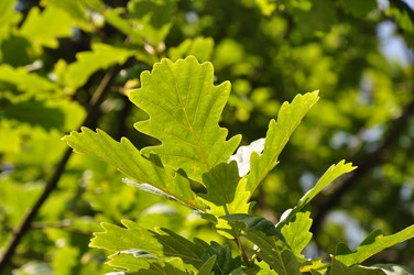 Similar image 168623