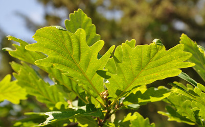 Similar image 168627