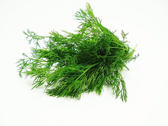 Similar image 168644