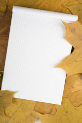 Similar image 168654