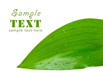 Similar image 168667