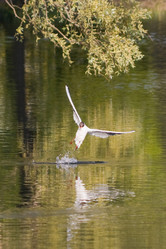 Similar image 168705