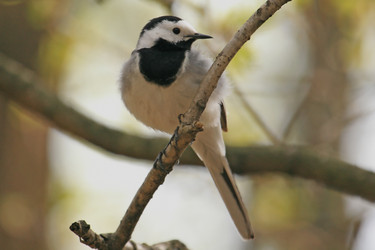 Similar image 168728