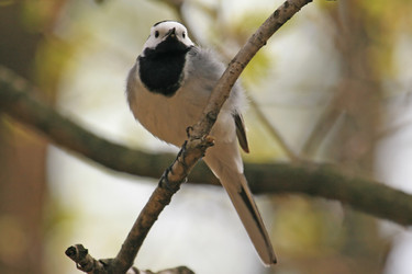 Similar image 168729